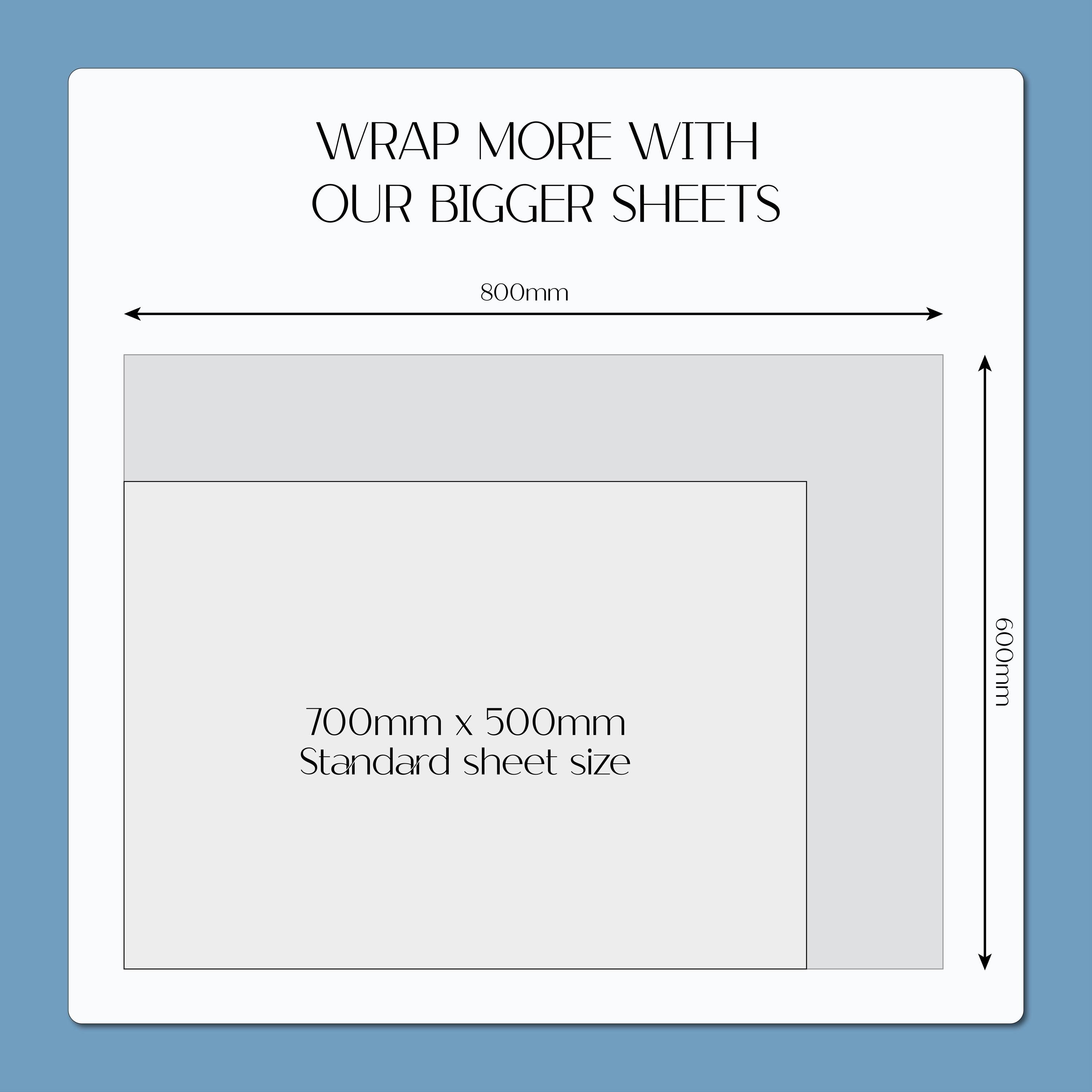 Safari Gift Wrap, Eco Friendly Kids Gift Wrapping Paper, 100% Recyclable, Luxury Sustainable Kraft Birthday.