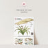 Dinosaur Nursery Stickers by My Store feature watercolor images of pterodactyls, a prehistoric plant, and various dinosaurs at the bottom. Perfect for nursery decor, the top labels it as a Preview of Our Sample.