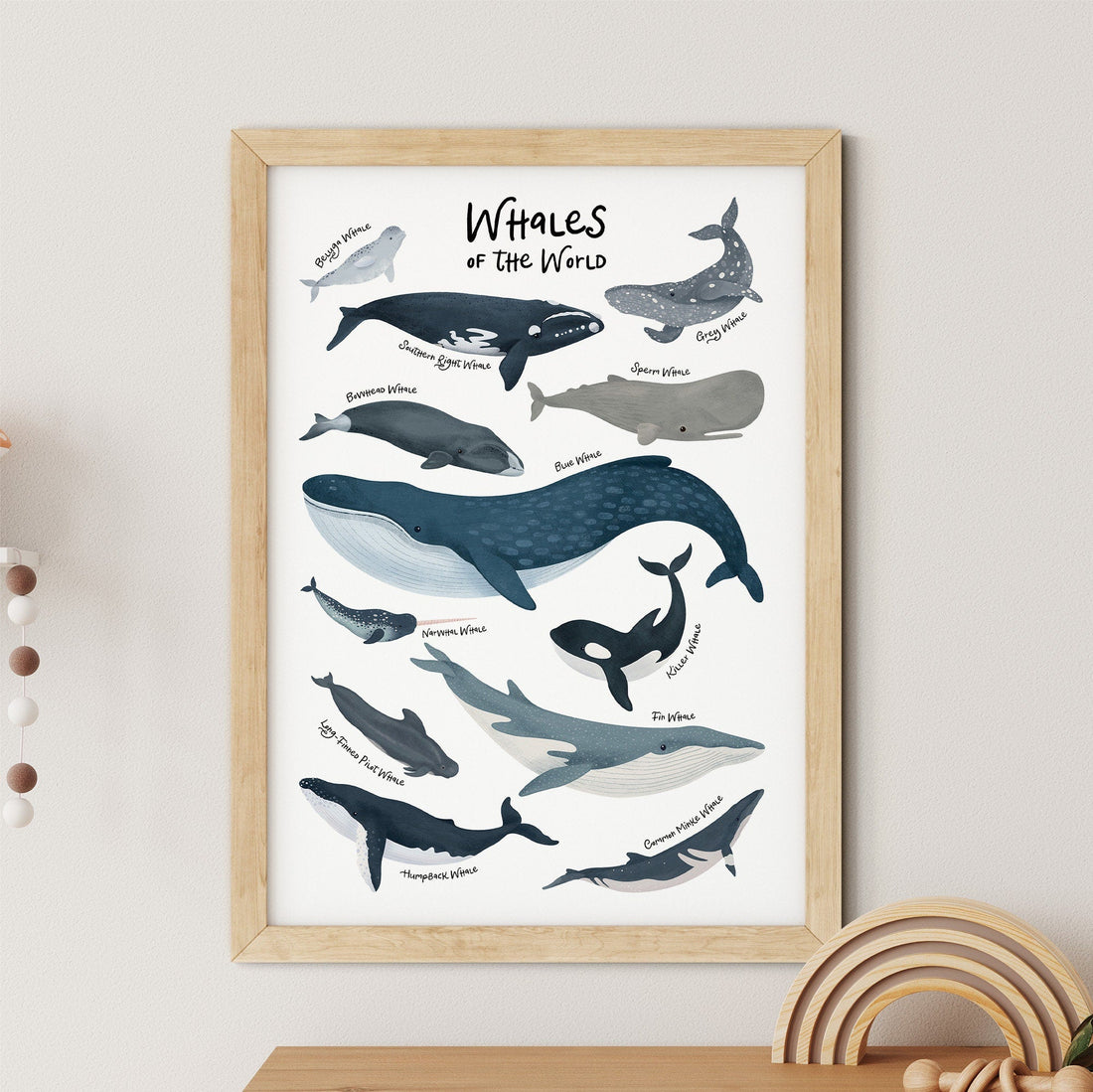 Whales Of The World Nursery Print - Innate Graphics